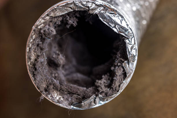 Best Air Duct Cleaning Company Near Me  in Ninety Six, SC